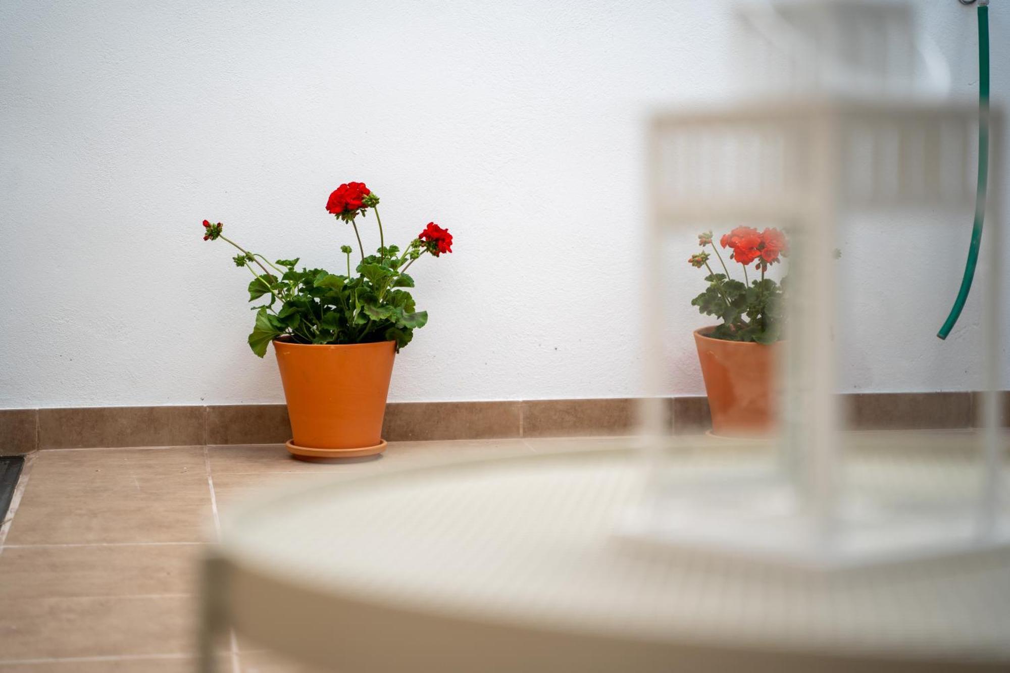 Ferienwohnung El Secreto De Chirinos Úbeda Exterior foto